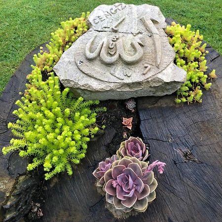 Happyhobbit Forest, Lake View, Fireplace , Jakuzi ,In Sapanca Esterno foto