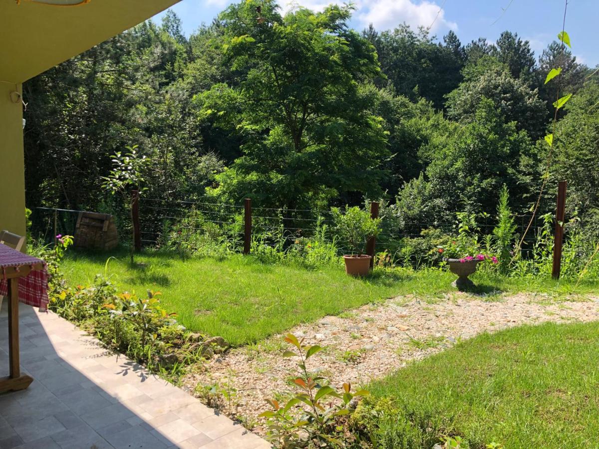 Happyhobbit Forest, Lake View, Fireplace , Jakuzi ,In Sapanca Esterno foto