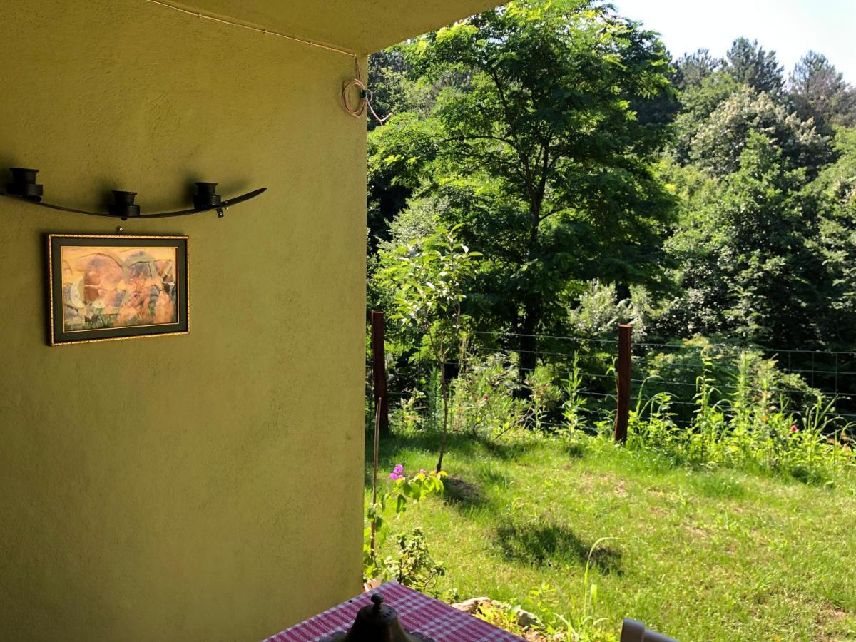 Happyhobbit Forest, Lake View, Fireplace , Jakuzi ,In Sapanca Esterno foto
